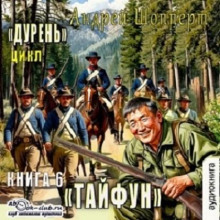 Дурень. Книга шестая. Тайфун